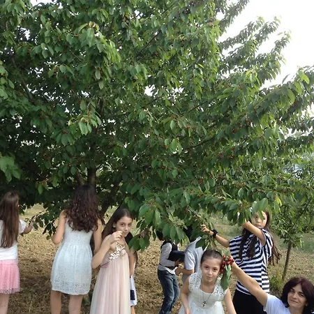 Agriturismo Via Del Campo Farm stay *