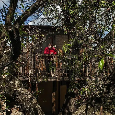 Agriturismo Via Del Campo