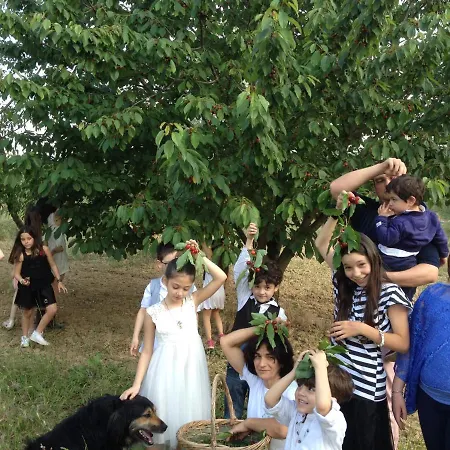 Agriturismo Via Del Campo Farm stay *