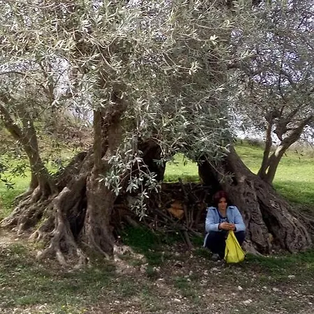 Farm stay Agriturismo Via Del Campo Pianella (Pescara)