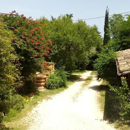 Farm stay Agriturismo Via Del Campo Pianella (Pescara)