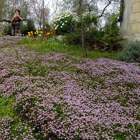Farm stay Agriturismo Via Del Campo *