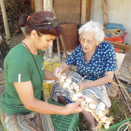 Agriturismo Via Del Campo * Pianella (Pescara)