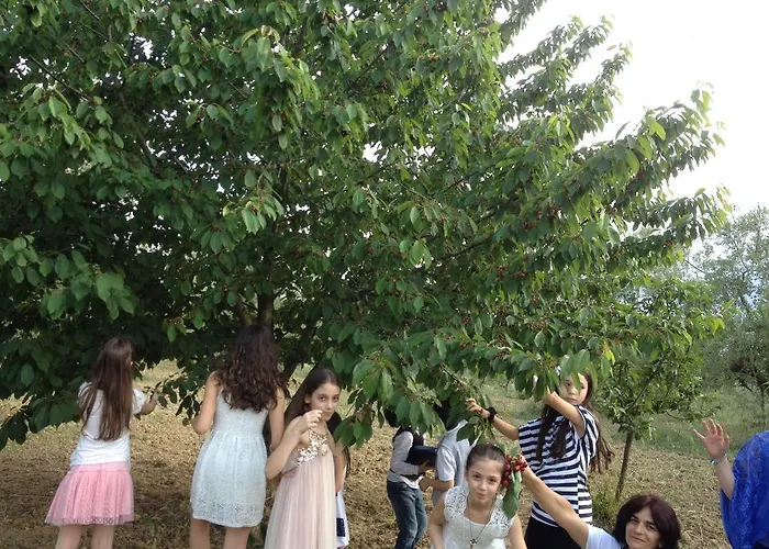 Via Del Campo Alloggio per agriturismo *