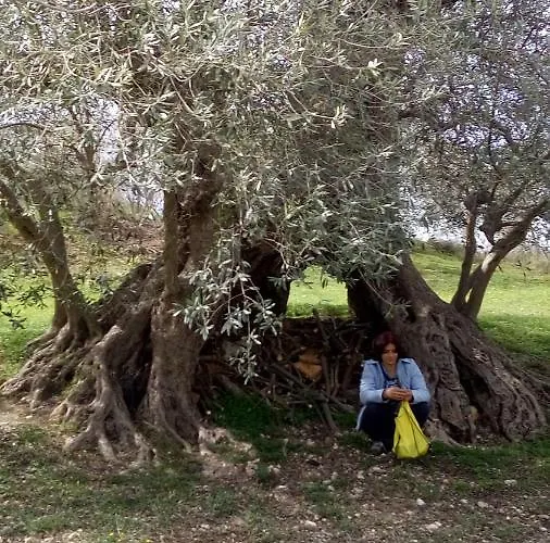 Фермерский дом Via Del Campo Pianella (Pescara)