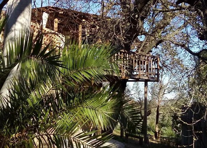 Alloggio per agriturismo Via Del Campo