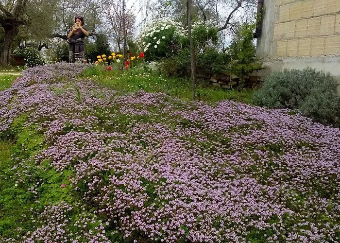 Alloggio per agriturismo Via Del Campo *