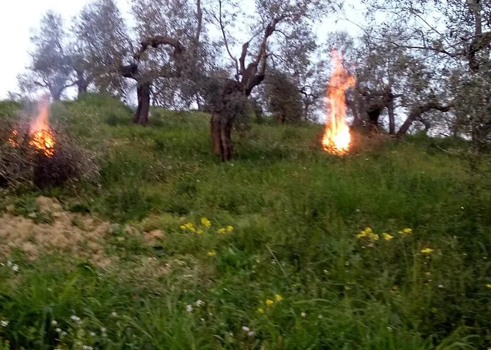 Via Del Campo Alloggio per agriturismo *