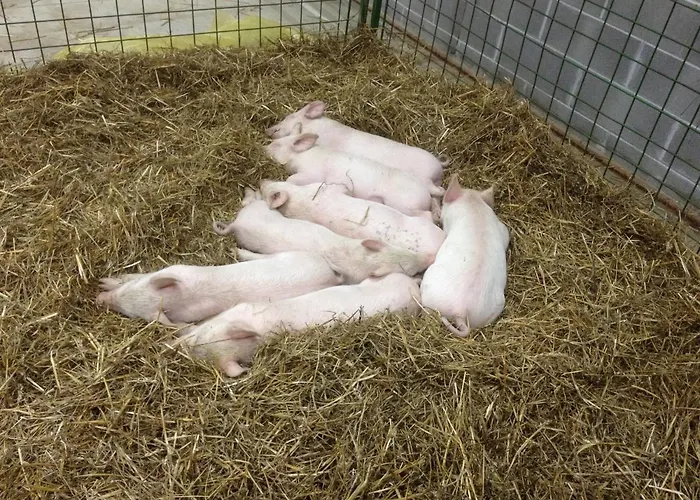 Via Del Campo * Pianella (Pescara)